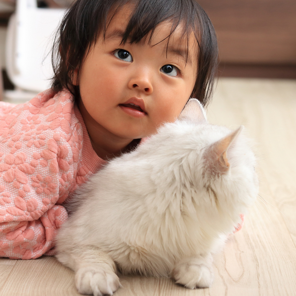 子どもと猫